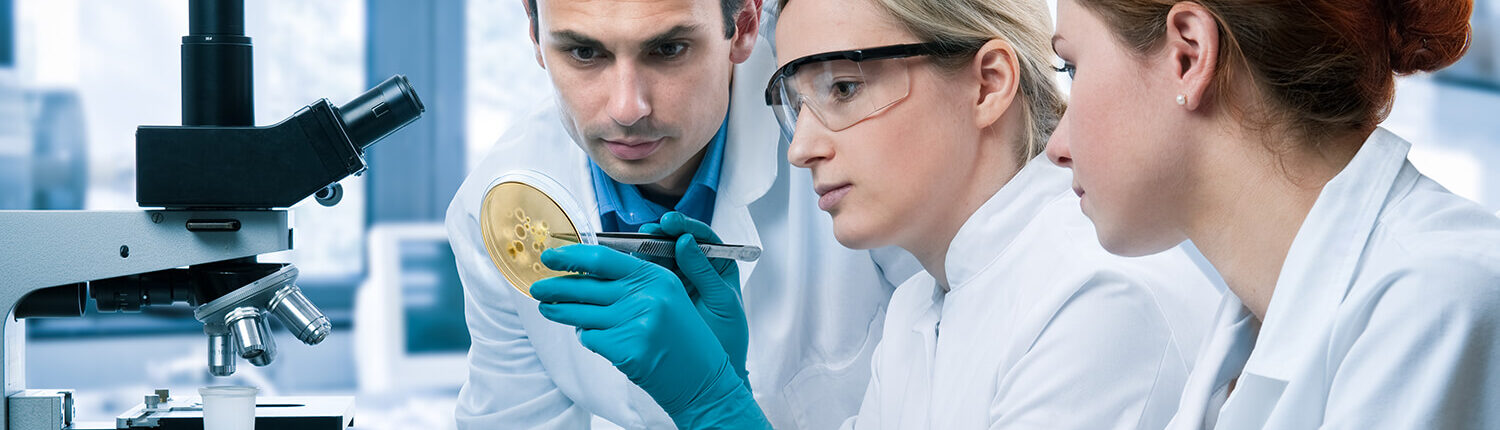 Scientific Laboratory Products And Equipment